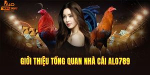 Giới thiệu chung về nhà cái Alo789