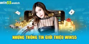 Tổng quan về nhà cái Win55